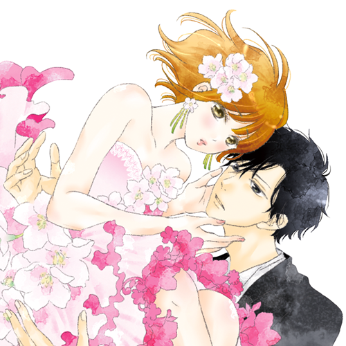 花嫁Reスタート