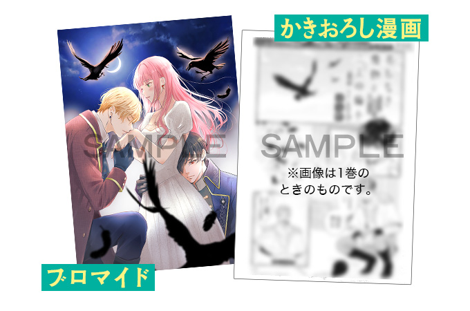 名もなき魔物と二人の騎士～そして婚約者は困惑する～